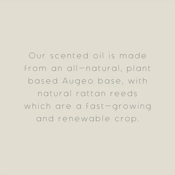 The Edited Life Wellness 200ml Oil Mint Reed Diffuser 3 The Edited Life Wellness 200ml Oil Mint Reed Diffuser - Image 3