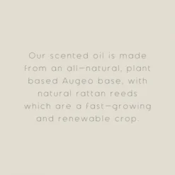 The Edited Life Wellness 200ml Oil Bergamot Reed Diffuser 11 The Edited Life Wellness 200ml Oil Bergamot Reed Diffuser -Elegant Home 1000183230 alt09