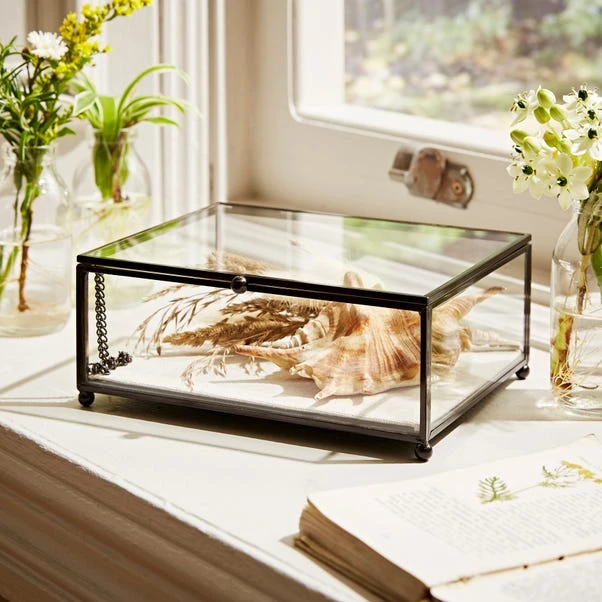 Natural History Museum Small Trinket Box 18cm 1 Natural History Museum Small Trinket Box 18cm