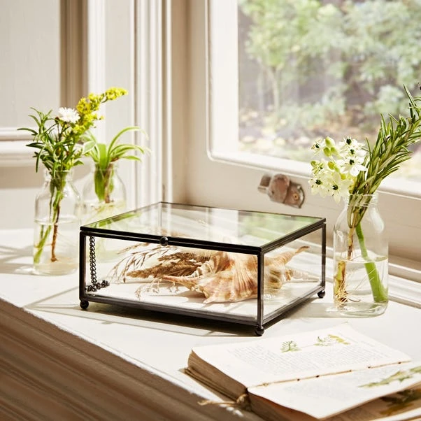 Natural History Museum Small Trinket Box 18cm 2 Natural History Museum Small Trinket Box 18cm - Image 2