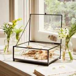 Natural History Museum Small Trinket Box 18cm 8 Natural History Museum Small Trinket Box 18cm -Elegant Home 30752231 alt02