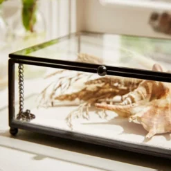 Natural History Museum Small Trinket Box 18cm 9 Natural History Museum Small Trinket Box 18cm -Elegant Home 30752231 alt03