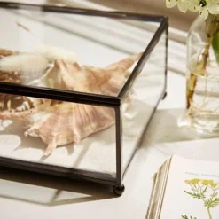 Natural History Museum Small Trinket Box 18cm 10 Natural History Museum Small Trinket Box 18cm -Elegant Home 30752231 alt04