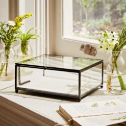 Natural History Museum Small Trinket Box 18cm 11 Natural History Museum Small Trinket Box 18cm -Elegant Home 30752231 alt05