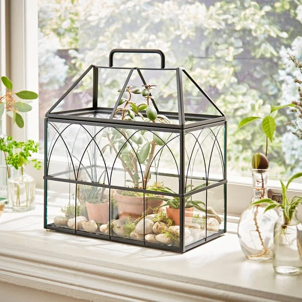Natural History Museum Terrarium 37cm 1 Natural History Museum Terrarium 37cm