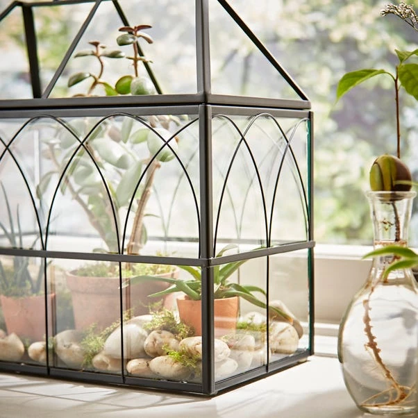 Natural History Museum Terrarium 37cm 2 Natural History Museum Terrarium 37cm - Image 2