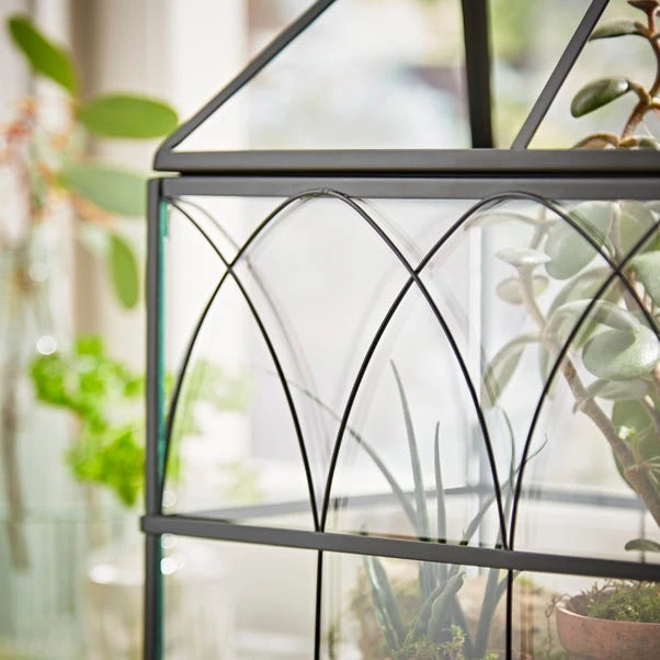 Natural History Museum Terrarium 37cm 3 Natural History Museum Terrarium 37cm - Image 3