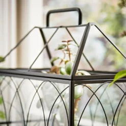 Natural History Museum Terrarium 37cm 7 Natural History Museum Terrarium 37cm -Elegant Home 30752233 alt04