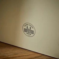 Natural History Museum Window Leaner Mirror, 180x50cm 8 Natural History Museum Window Leaner Mirror, 180x50cm -Elegant Home 30753698 alt03