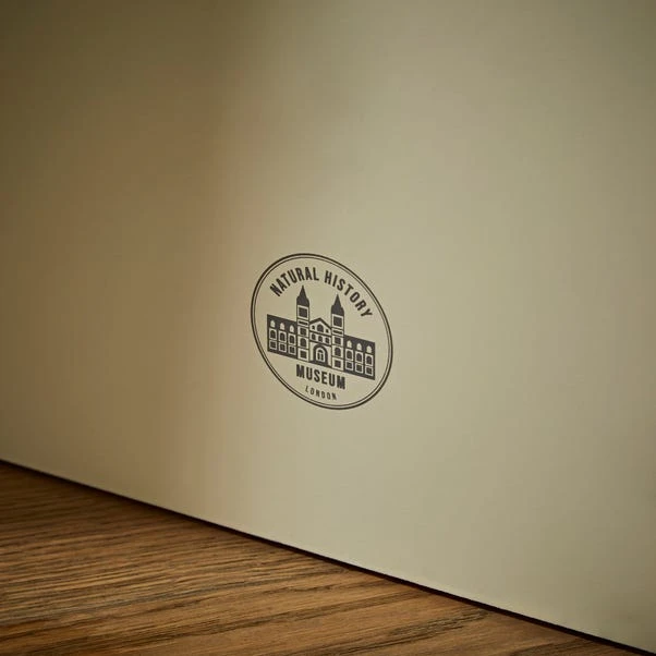 Natural History Museum Window Leaner Mirror, 180x50cm 4 Natural History Museum Window Leaner Mirror, 180x50cm - Image 4