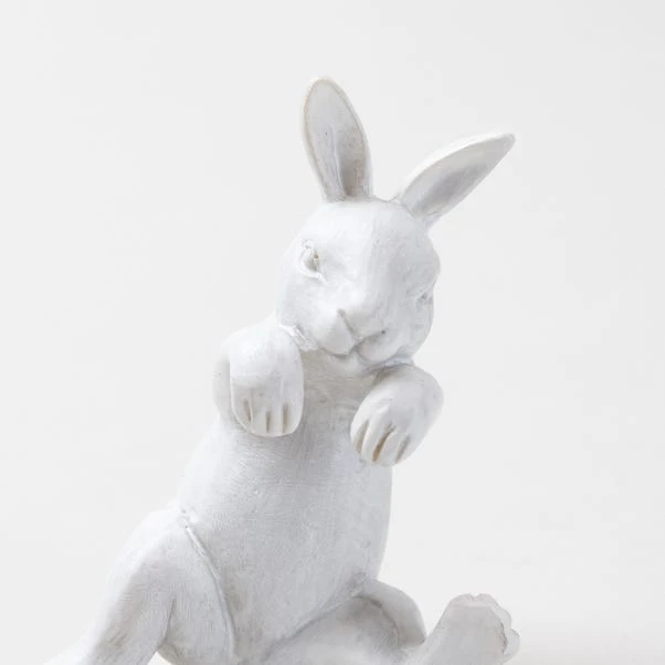 Dunelm Plant Pot Climber Rabbit 4 Dunelm Plant Pot Climber Rabbit - Image 4