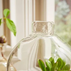 Natural History Museum Mango Wood Cloche 7 Natural History Museum Mango Wood Cloche -Elegant Home 30756334 alt02