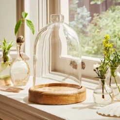 Natural History Museum Mango Wood Cloche 9 Natural History Museum Mango Wood Cloche -Elegant Home 30756334 alt04