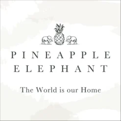 Pineapple Elephant Imani Tufted Cotton Cushion 11 Pineapple Elephant Imani Tufted Cotton Cushion -Elegant Home 30757790 alt05