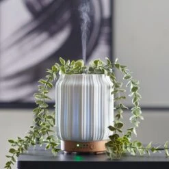Elegant Home 7 Dunelm Trailing Eucalyptus Electronic Diffuser