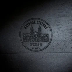 Dunelm Black Mango Wood Cloche -Elegant Home 30779657 alt05