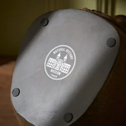 Natural History Museum Lion Glasses Holder 11 Natural History Museum Lion Glasses Holder -Elegant Home 30782232 alt05