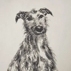 Dunelm Churchgate Printed Dog Cushion Cover -Elegant Home 30796408 alt03