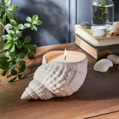 Natural History Museum Whelk Rock Pool Candle