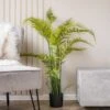 Oversized Fern 130cm