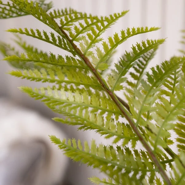 Oversized Fern 130cm 2 Oversized Fern 130cm - Image 2