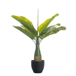 Real Touch Banana Tree 92cm 5 Real Touch Banana Tree 92cm -Elegant Home 30797244 alt02