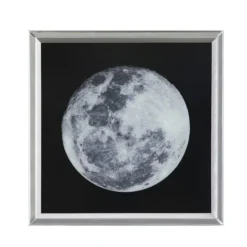 Cedar & Sage Lyra Study Mirrored Art