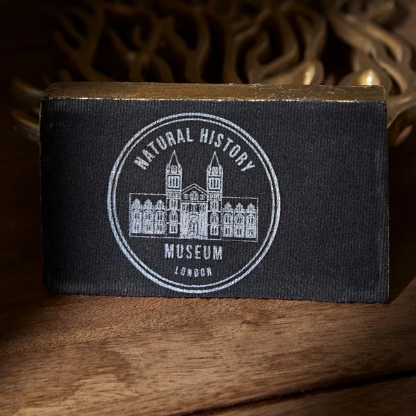 Dunelm Recycled Aluminium Flat Coral Reef Ornament 4 Dunelm Recycled Aluminium Flat Coral Reef Ornament - Image 4