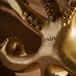 Natural History Museum Octopus Glasses Holder 7 Natural History Museum Octopus Glasses Holder -Elegant Home 30800584 alt03