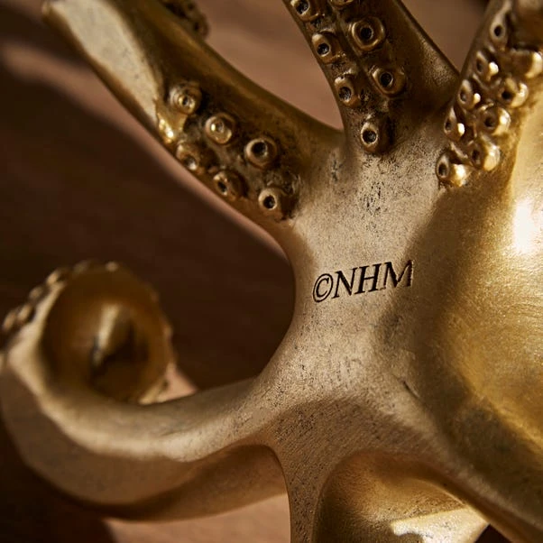 Natural History Museum Octopus Glasses Holder 4 Natural History Museum Octopus Glasses Holder - Image 4