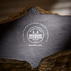 Natural History Museum Resin Shell Vase 10 Natural History Museum Resin Shell Vase -Elegant Home 30800585 alt04