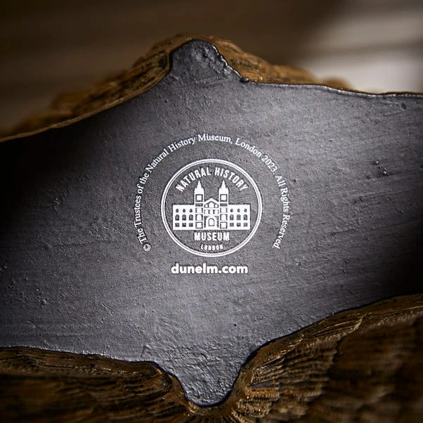 Natural History Museum Resin Shell Vase 5 Natural History Museum Resin Shell Vase - Image 5