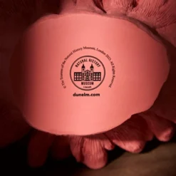 Natural History Museum Weighted Coral Reef Ornament -Elegant Home 30800589 alt03